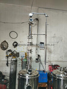 IMG-20231013-WA0006