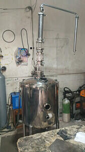 IMG-20250312-WA0010